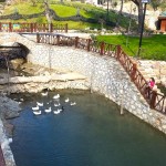 Karaisalı Karapınar Parkı Fotoğrafları 12